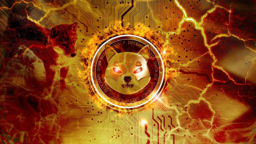 Shiba inu coin 2025